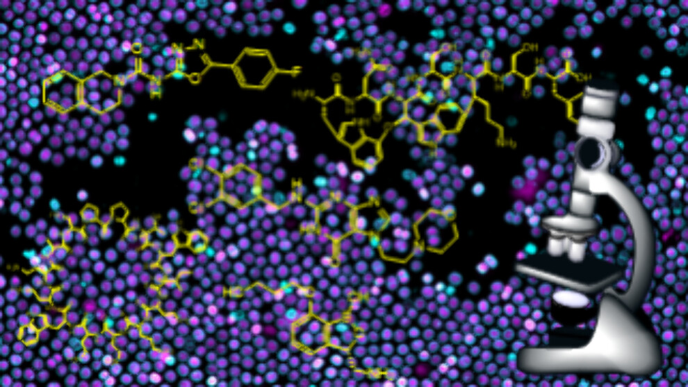 Searching for new antibacterial drugs